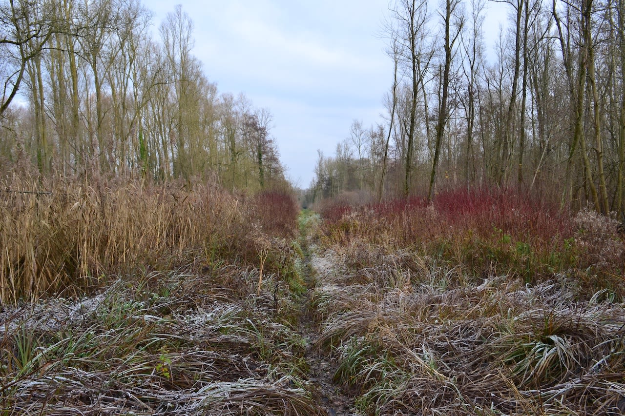 Goed-weer-voor-buitenactiviteiten-december-belgie