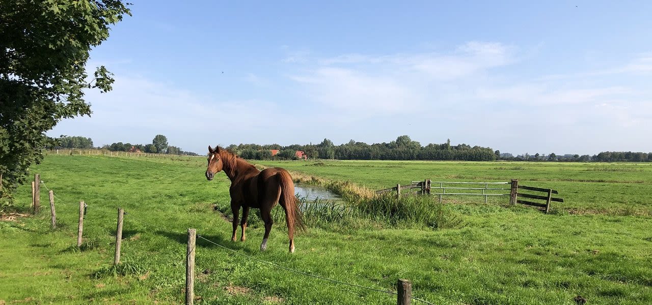Foto: Jolanda Bakker