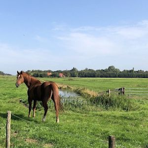 Regionale verschillen in klimaatverandering