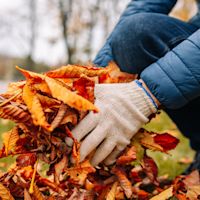 Dit kan je doen in je tuin in november