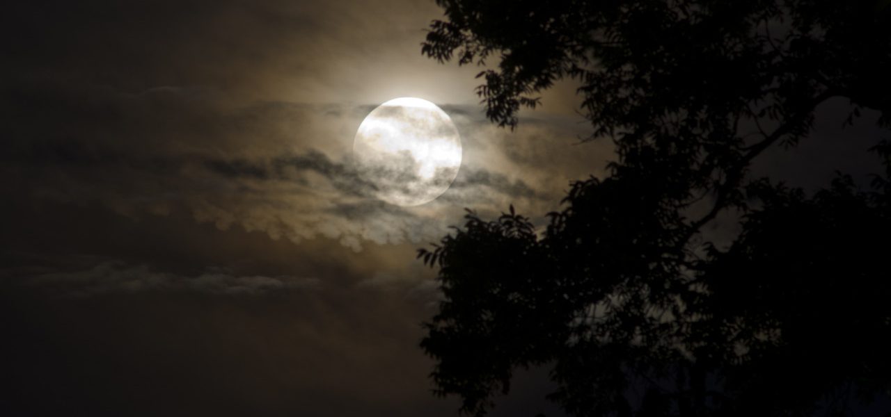 Wanneer Is De Maan Vol? Ontdek De Fasen Van De Maan En Haar Volle Pracht.