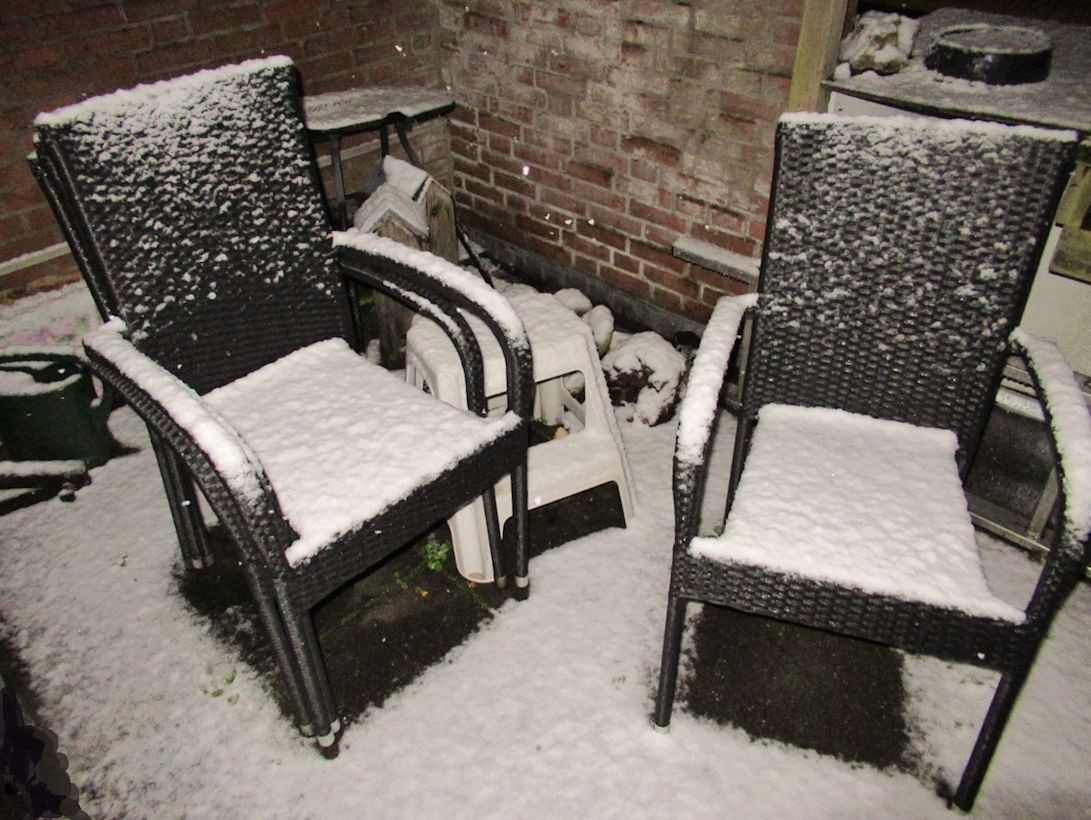 Een laagje sneeuw in de tuin in Zwolle. Foto: Hanneke van Doornik