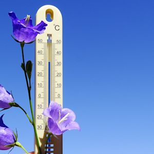 Tweede regionale hittegolf bereikt