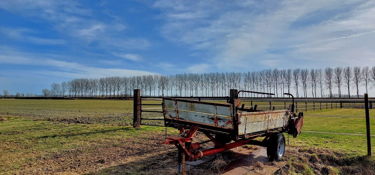Weekverwachting: mei temperaturen in slotweek februari