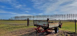 Weekverwachting: mei temperaturen in slotweek februari