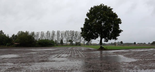 Regen-zet-plassen-opde-akkers-e1570126168900