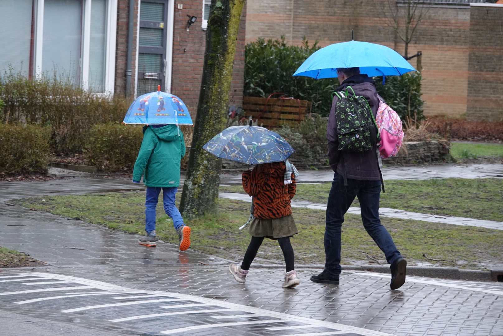 De paraplu heb je deze week zeker en vast nodig! Foto: Willem van Nunen