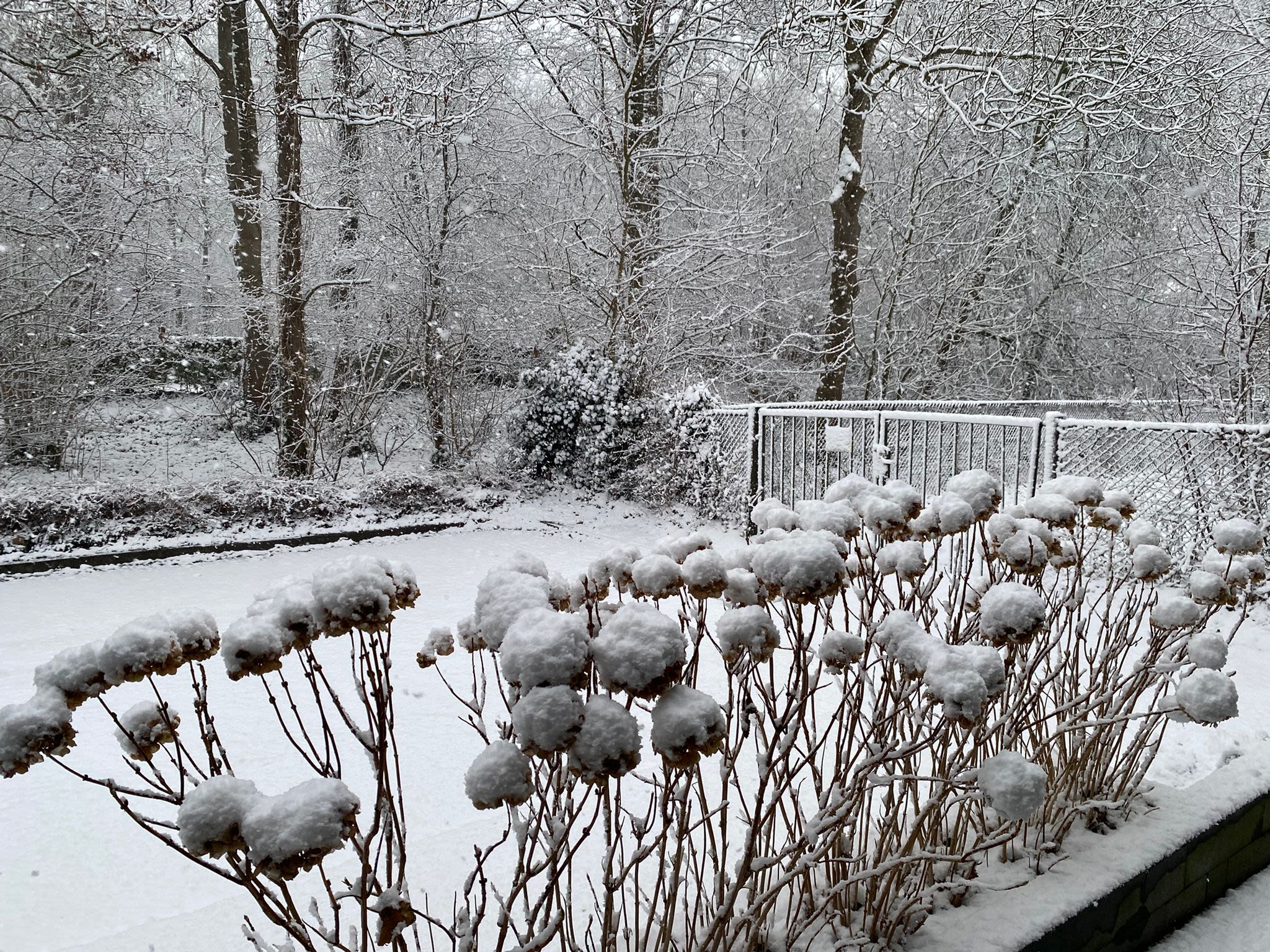 Sneeuw in Middelharnis. Foto: Gre van Wezel.
