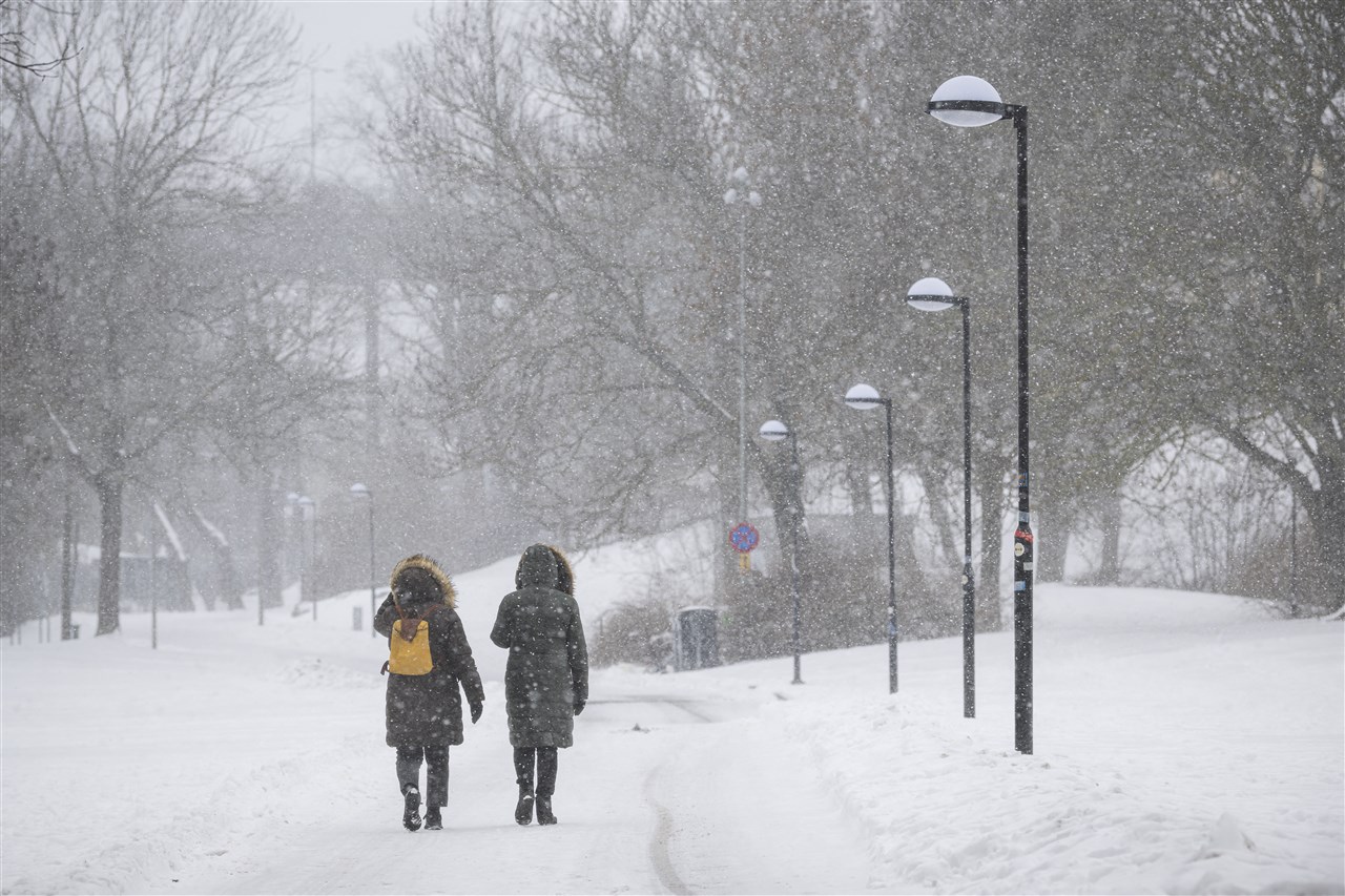 Volop winterse omstandigheden in Zweden. Foto: Jonathan NACKSTRAND / AFP