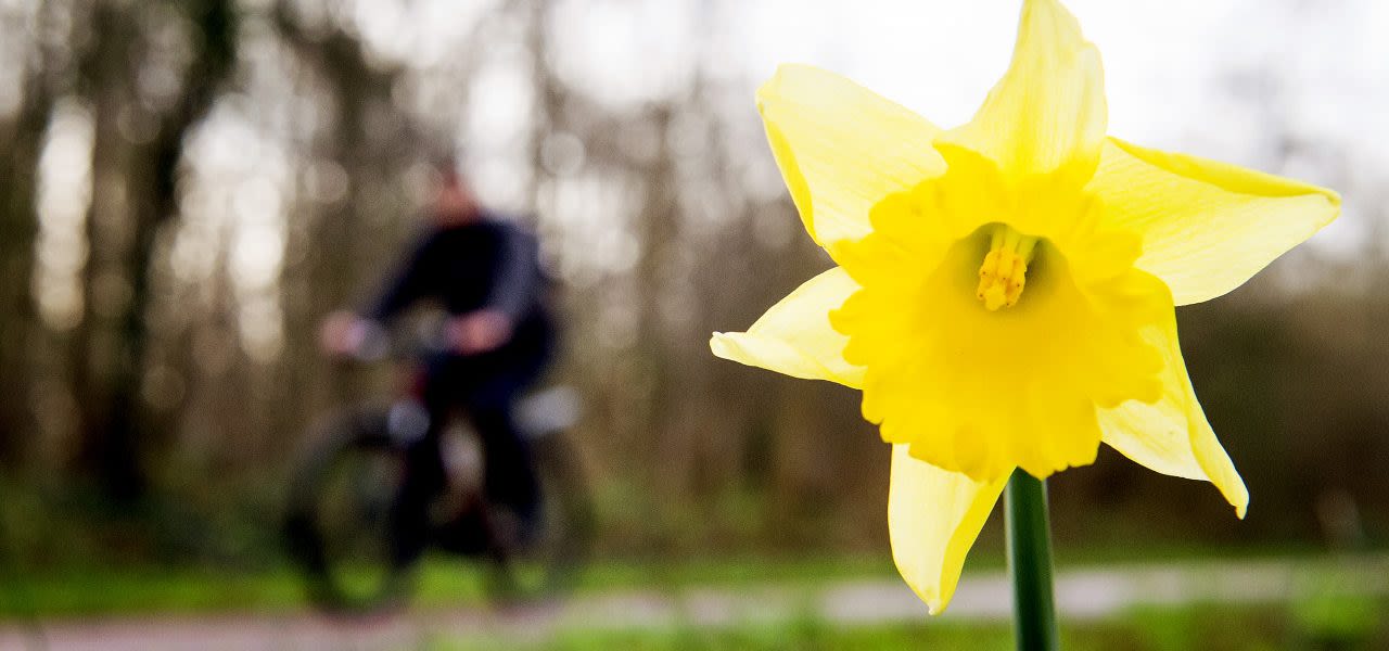 Eerste-lokale-lentedag-van-het-jaar_ANP-1280x600