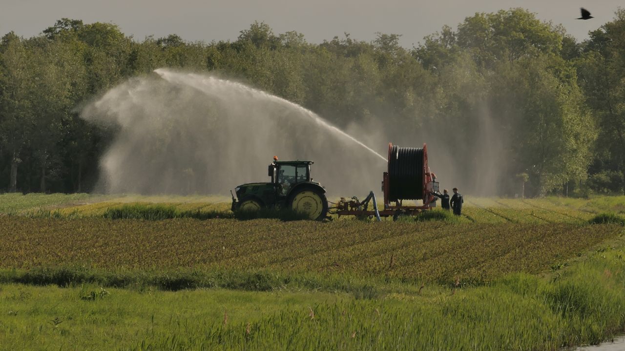 De droogte neemt steeds verder toe. Foto: Theo Westra