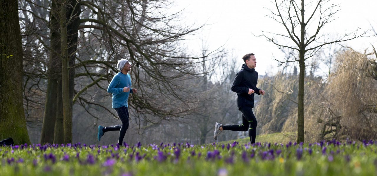 Lente-in-februari-met-bloeiende-krokussen-1280x600