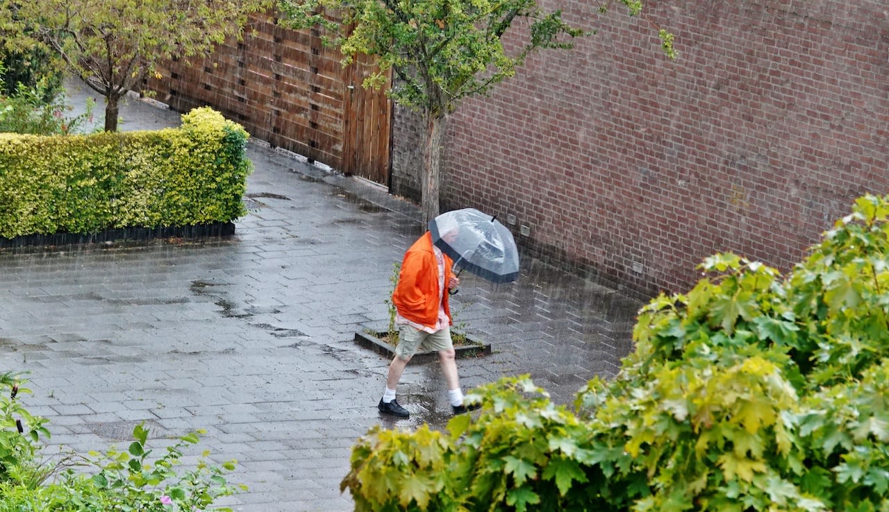 Eindelijk zomerregen. Foto: Ton Wesselius.