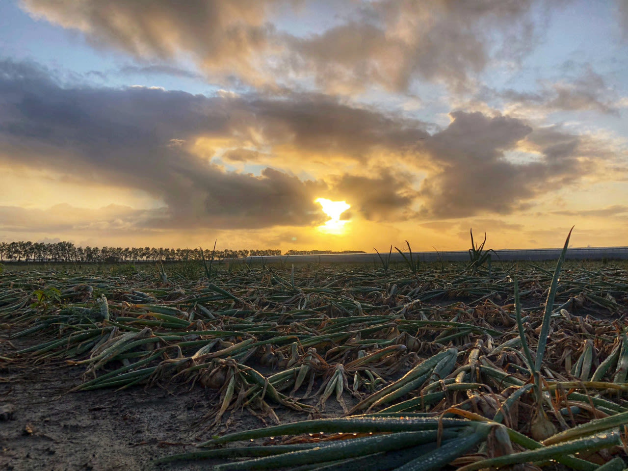 weerfoto0609191