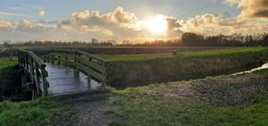 Zo zien de eerste dagen van 2021 eruit