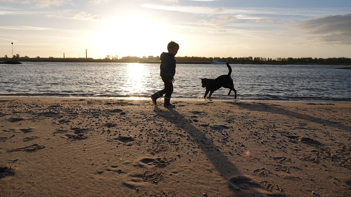 Heerlijk weer in november. Foto: Corry van Daalen