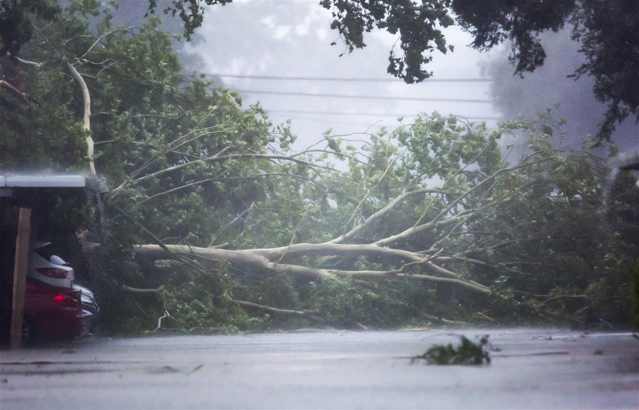 Orkaan Debby is aan land gekomen in Florida. Foto: EPA/Carlos Ramirez