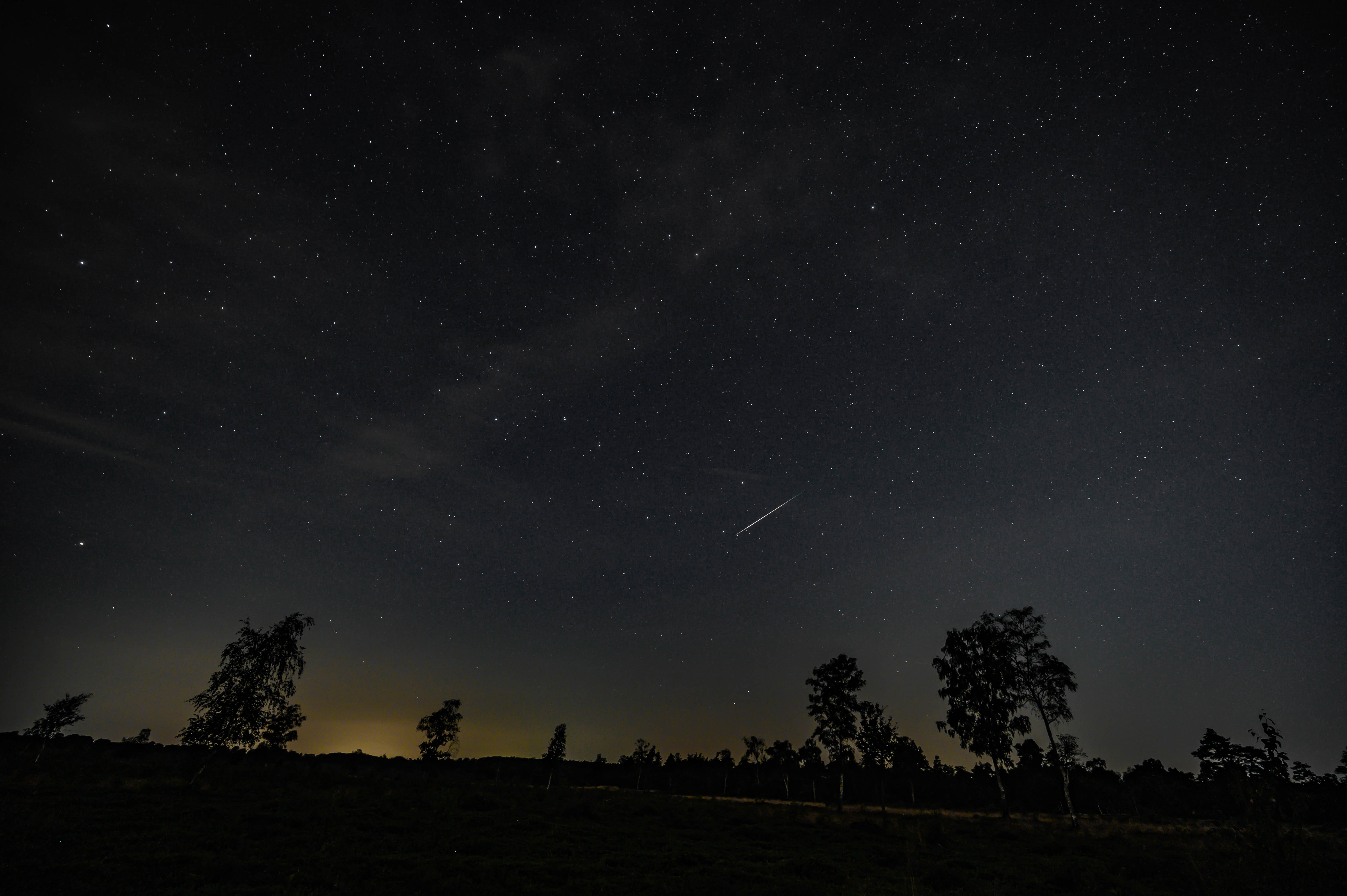 Vallende ster Perseïden boven bosrijke omgeving met mooie sterrenhemel. Foto: Joep Dikmans.