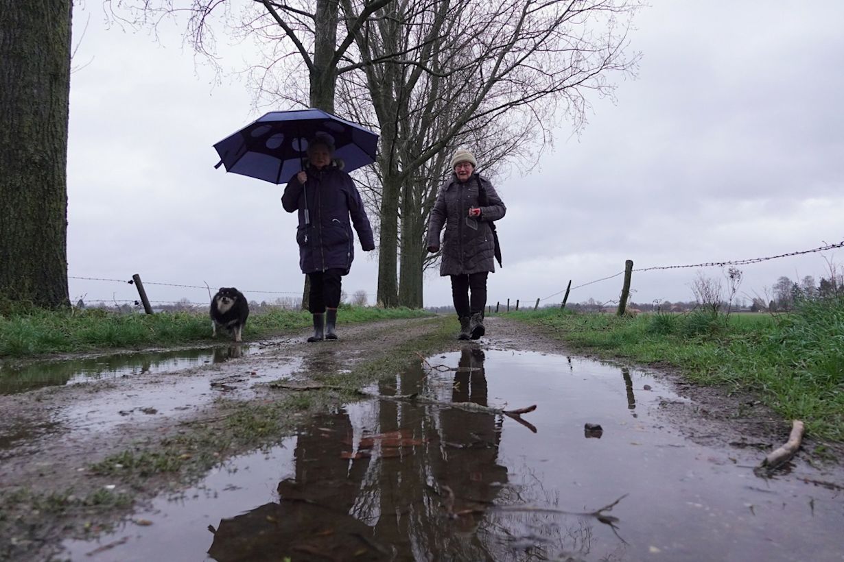 De winter was zeer zacht, somber en nat. Foto: Ben Saanen