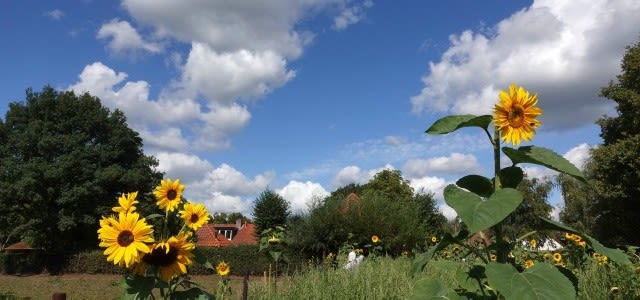 augustusfotoBE-e1567591346268