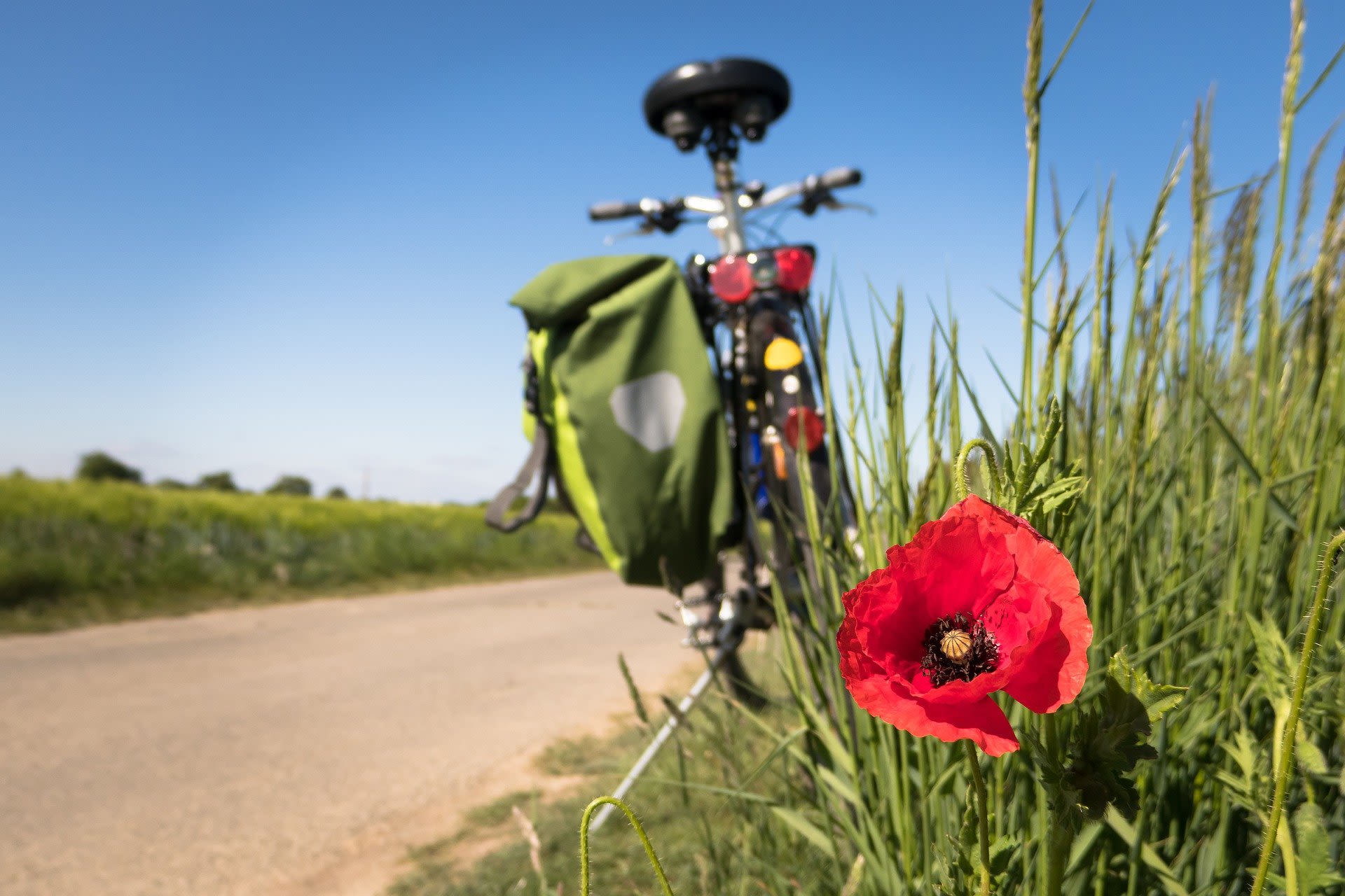 Lekker weer om te fietsen. Beeld: Pixabay-Didgeman


