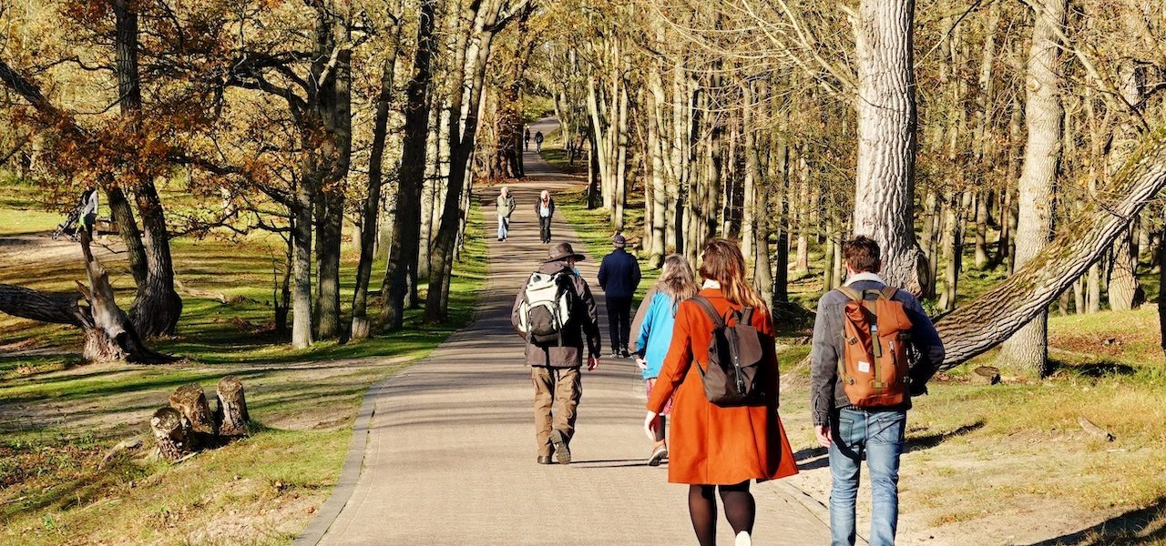 Dit klopte er wel en niet van de herfstverwachting