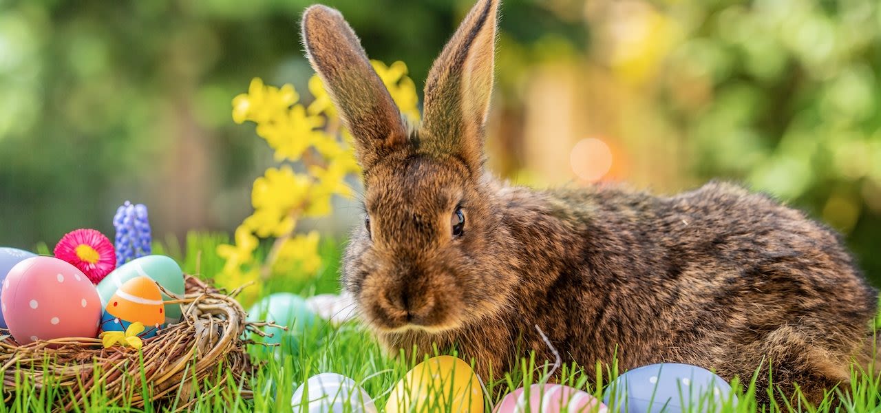 Foto via Adobe Stock / dubrig-photo