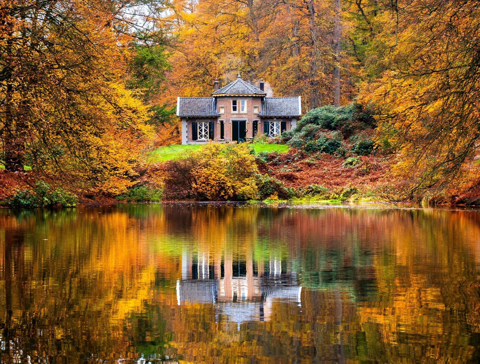 Schitterende herfstkleuren. Foto: Wouter van Bernebeek.