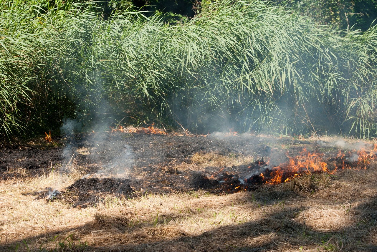 Verhoogd risico op natuurbrand in zeker 18 van de 25 veiligheidsregio's