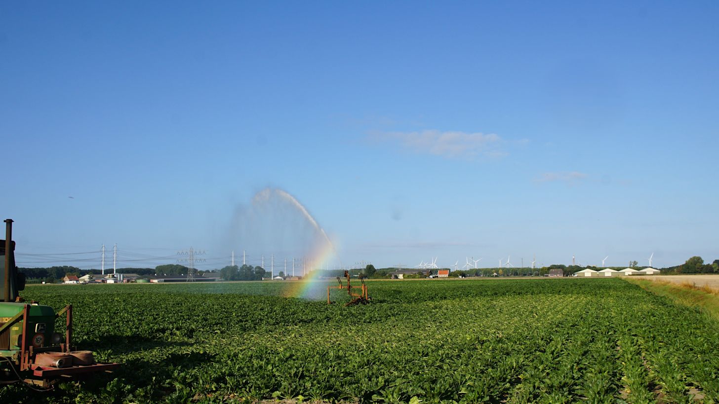 Op verschillende plekken moet gesproeid worden. Foto: Piet Grim