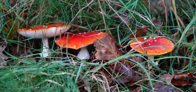weerfotoseptemberBE-e1570027447349