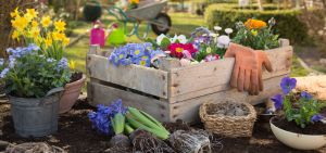 Tuinieren in april: dit kun je al voor IJsheiligen doen