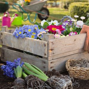 Tuinieren in april: dit kun je al voor IJsheiligen doen