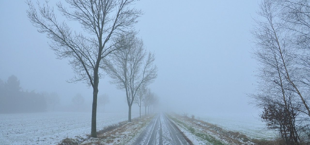 Dit is waarom het zo vaak mistig is als sneeuw smelt