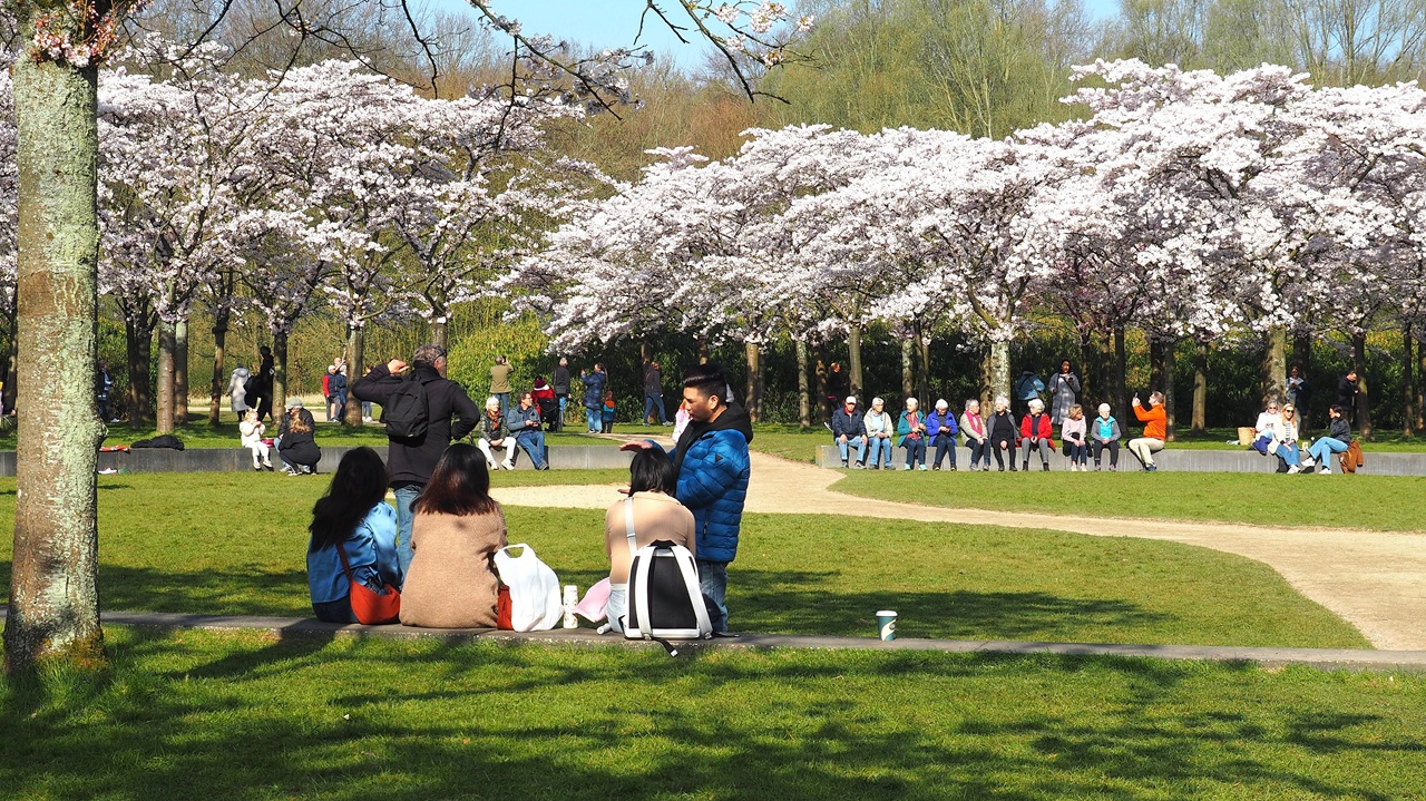 Terugblik maart 2025: recordzonnig en recorddroog