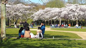 Terugblik maart 2025: recordzonnig en recorddroog