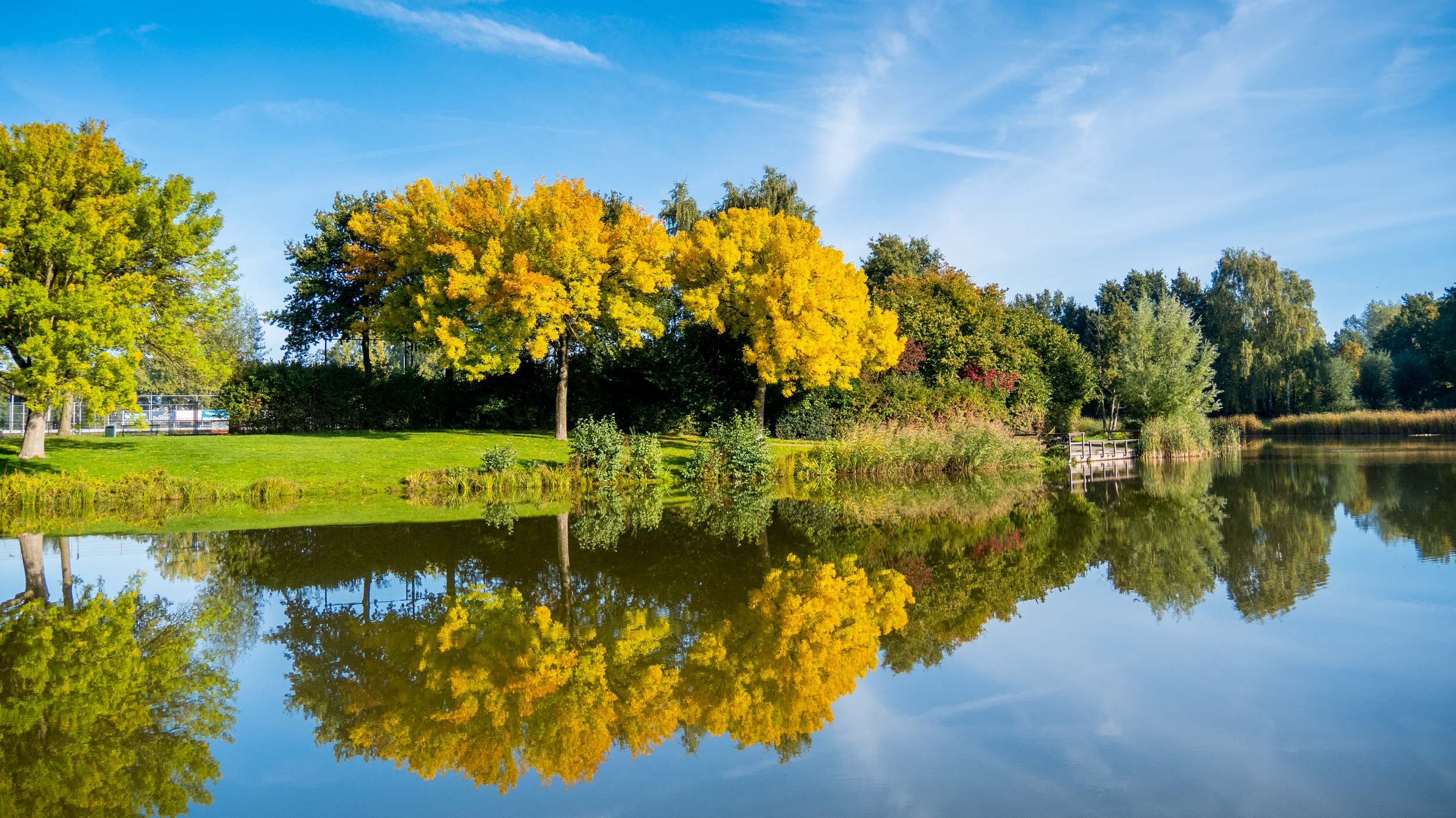 De herfstkleuren worden steeds beter zichtbaar. Foto: Jos Hebben