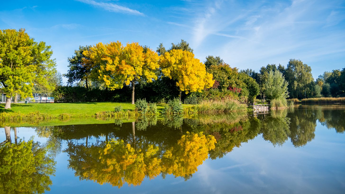 De herfstkleuren worden steeds beter zichtbaar. Foto: Jos Hebben