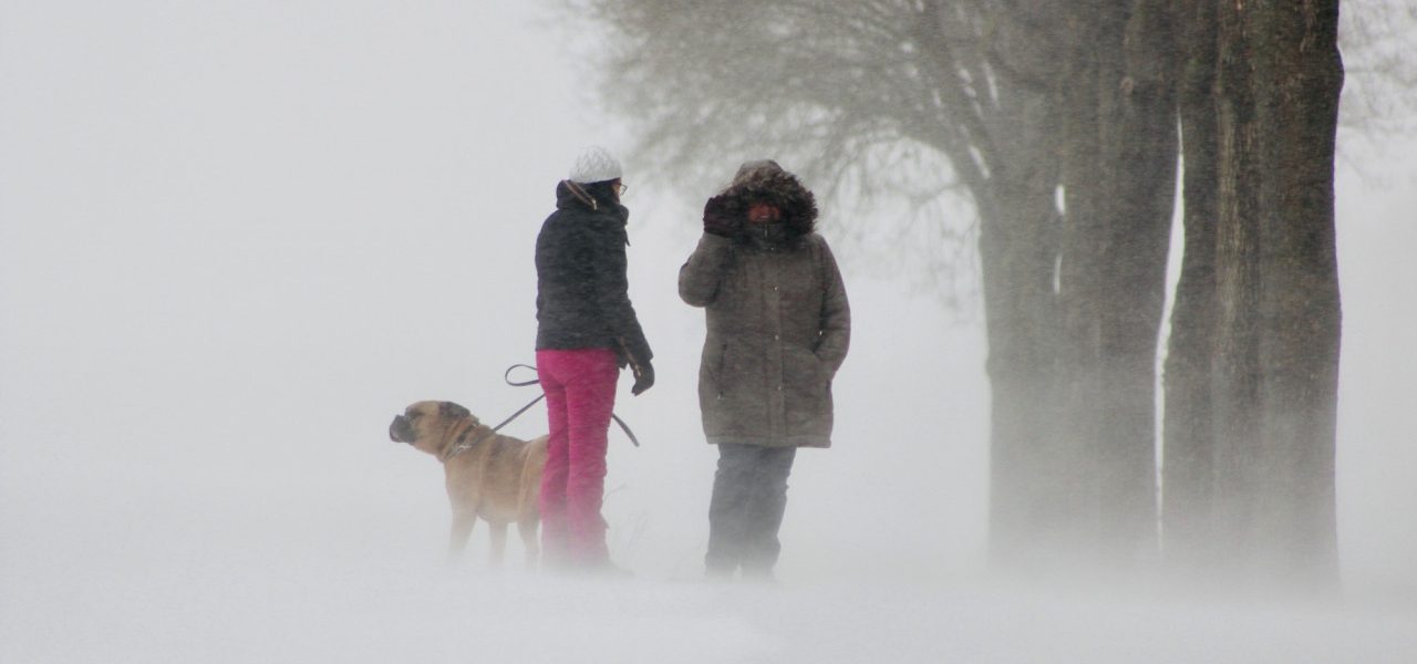 Terugblik: na ijskoude schaatsperiode eindigt februari zachter dan normaal