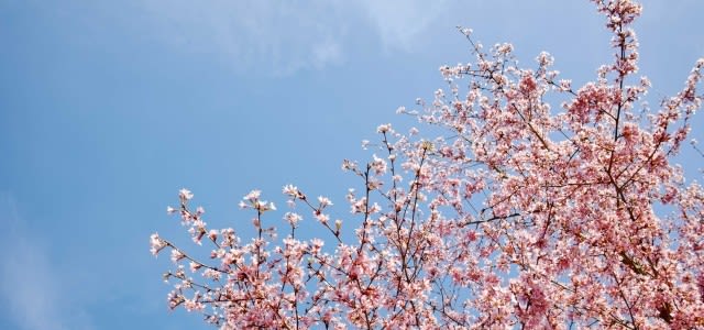 Warme-april-e1525253461939