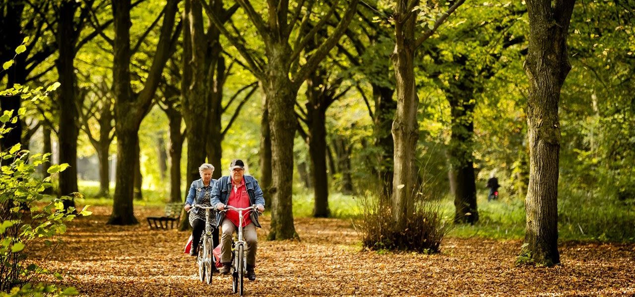 ANP-53787644-niet-eerder-zo-warm-6-november-e1541507491394-1280x600