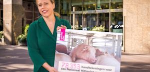 ‘146 miljoen dieren leden deze zomer aan hittestress’