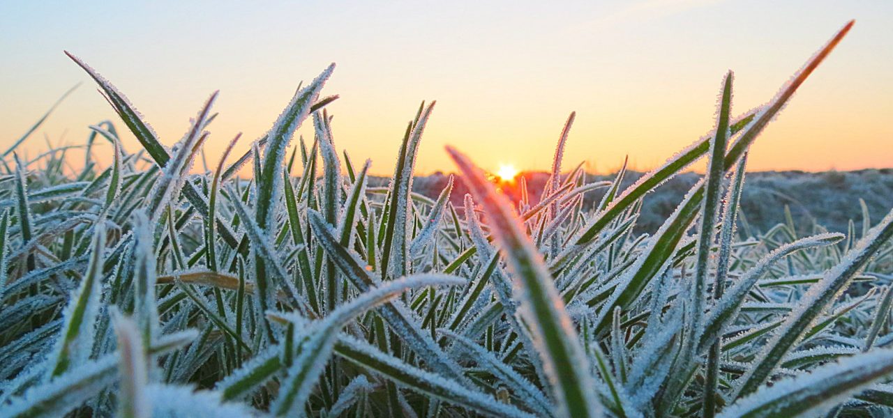 Als de dagen lengen gaat de winter strengen