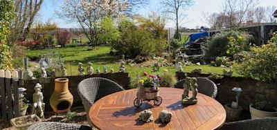 Tuinieren in maart: wat kun je al doen in de tuin?