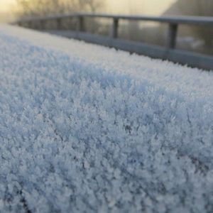 Hoe ontstaat rijp en wat is het verschil met sneeuw?