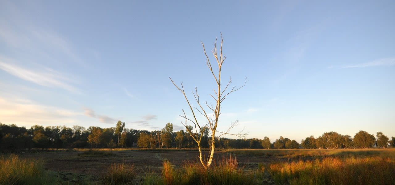d00f6f5a-weerfotobs-1280x600
