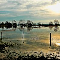 Zo hoog kan het water staan in deze tijd van het jaar