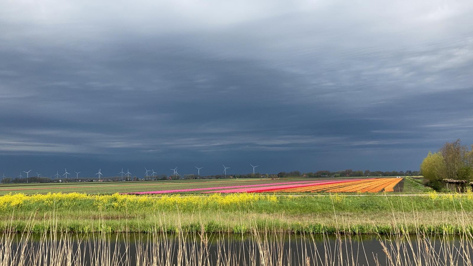 Buien lente landschap bloemen 
Foto: Gre van Kampen