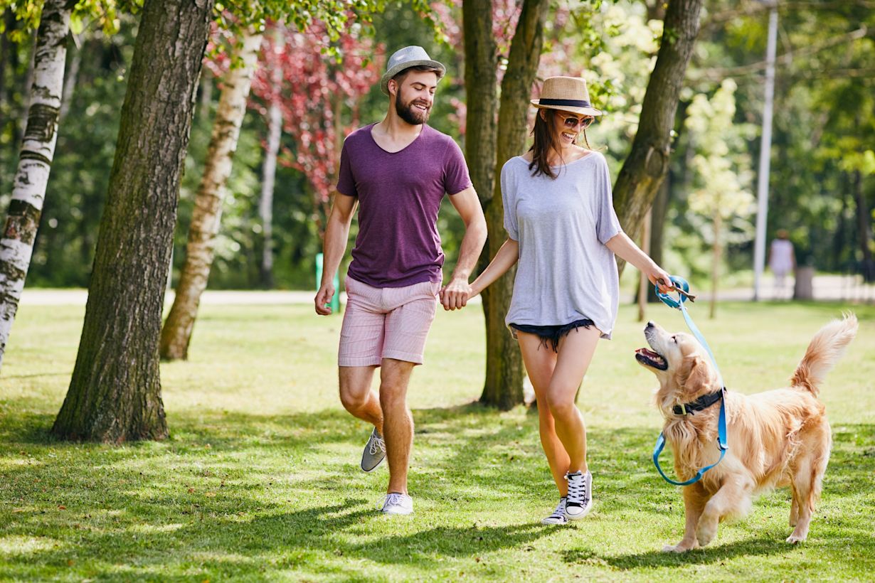 Het is heerlijk wandelen tijdens mooi en zonnig voorjaarsweer .Foto: Adobe Stock / baranq