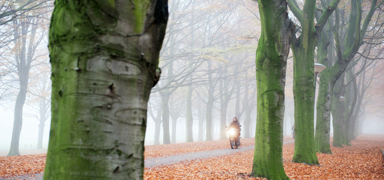 mist-november-anp-roos-koole-e1606382392567